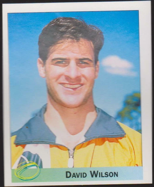 David Merlin Rugby RARE &RUGBY WORLD CUP 1995