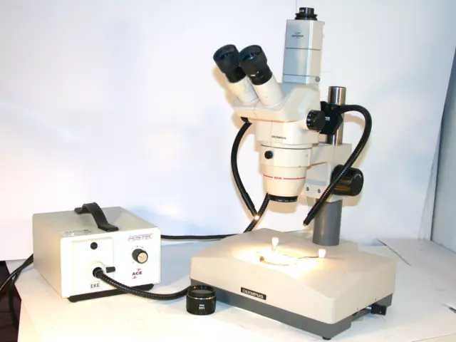 OLYMPUS STEREO MICROSCOPE SZH-ILLD with POLARIZATION.