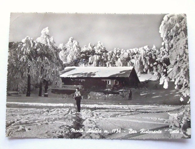 Cartolina Monte Amiata - Bar Ristorante "Vetta" 1964.