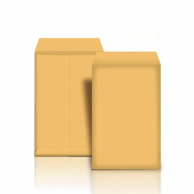 10-Kraft Self Stick Catalog Envelopes 12" x 9" Brown 10pc-10 envelopes