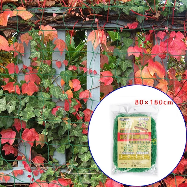Soutenez et protégez vos plantes grimpantes avec filet treillis en nylon de jar