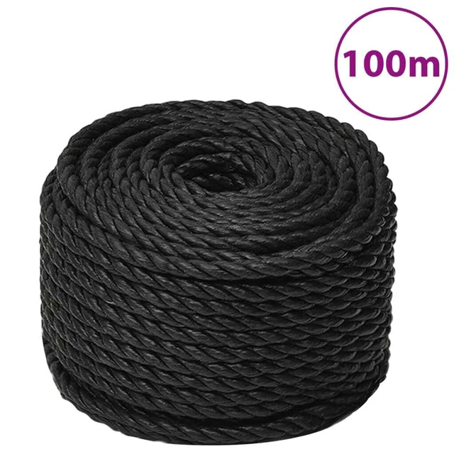 Vidaxl Corda da Lavoro Nera 20 mm 100 m in Polipropilene