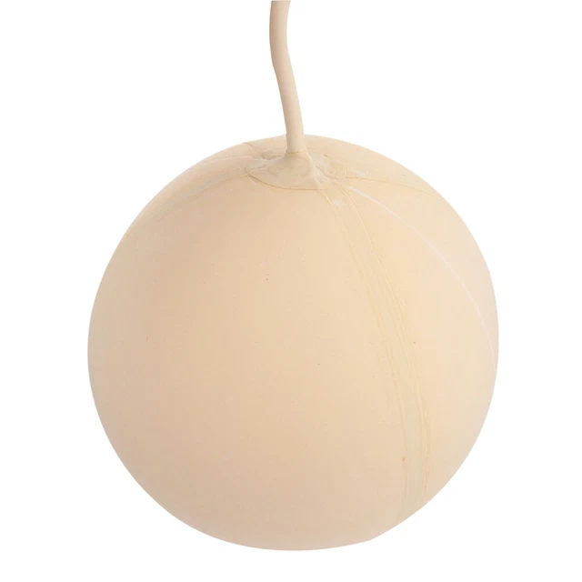 LAB BLADDER SAMPLING Balloon Gas Laboratory Collection Tool EUR 10,79 ...