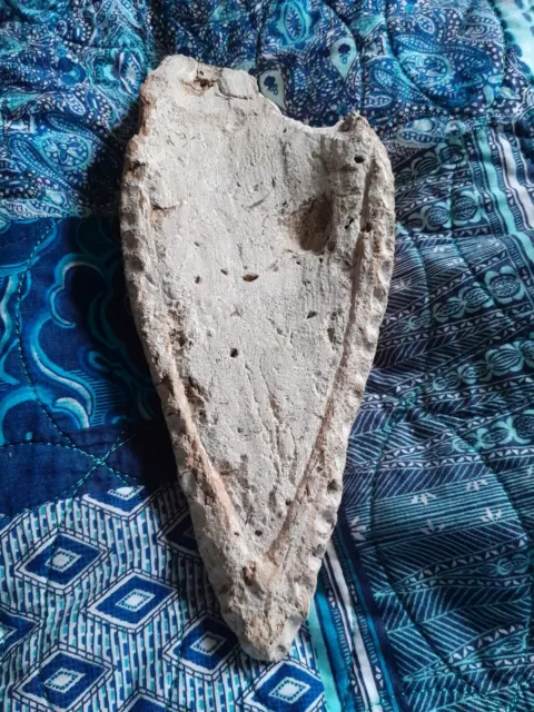 Rare Libonectes Morgani (Elasmosaur) lower jaw fossil - Goulmima, Morocco