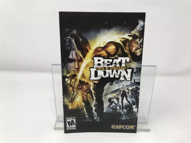 Beat Down: Fists of Vengeance - Sony Playstation 2 PS2 - Instruction Manual Only