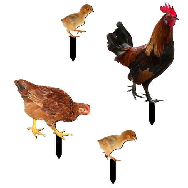 Hühnerschild Stangen Rasen Huhn Acryl Acrylschild Hühnerschild Stangen