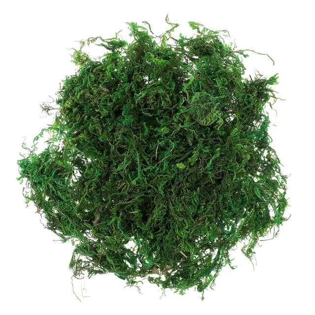 Passamaneria Decorativa Verde Muschio Con Frangia A Cappio Smerlata - 4 Cm, Venduta Al Metro (Style 9115)