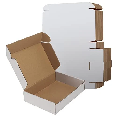 RLAVBL Shipping Boxes 9x6x2 Small White Corrugated Cardboard 9x6x2,