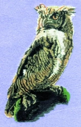 Embroidered Sweatshirt - Owl BT2820