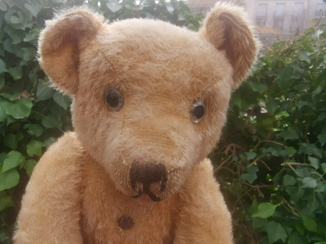 Ours Ancien Pintel – Peluche Vintage – Fabriqué En France
