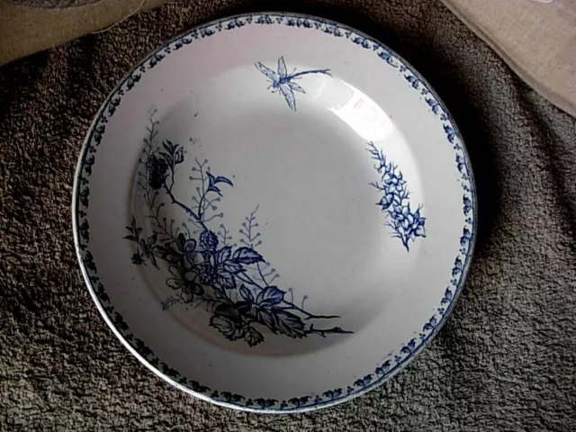 BEL ASSIETTE CREUSE BLEUE ANCIENNE SARREGUEMINES FLEUR LIBELLULE 19 ème Siècle