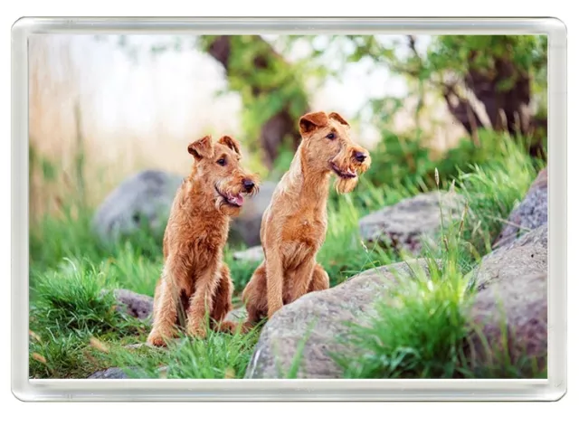 Irish Terrier Dogs Dog Art Print Novelty Acrylic Fridge Magnet Gift