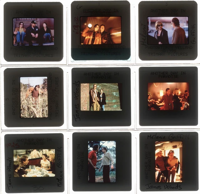 Lot 14 ektas slides originals Another Day in Paradise James Woods Larry Clark
