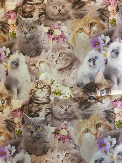 🐈 Cute Kittens fabric by Something Country for Kennard & Kennard - 1mtr x 110cm