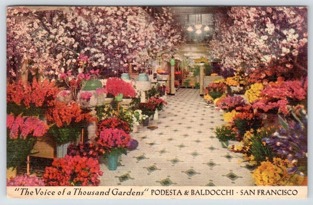 1939 Florists Podesta & Baldocchi San Francisco Ca Flower Displays Postcard