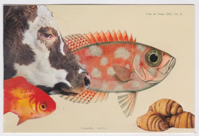 Mail Art David Greenberger "Not the Food Any were Looking For" collaged postcard