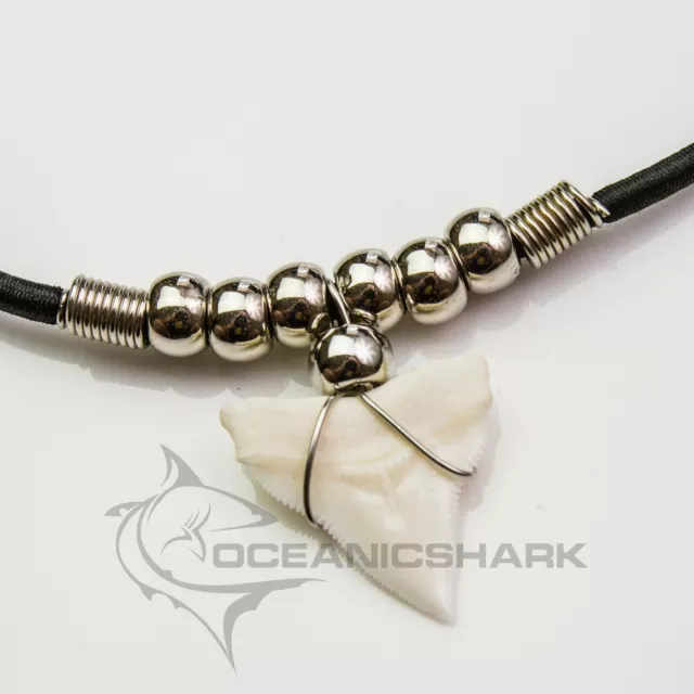 L Bull shark Carcharinus leucas tooth memory elastic c186
