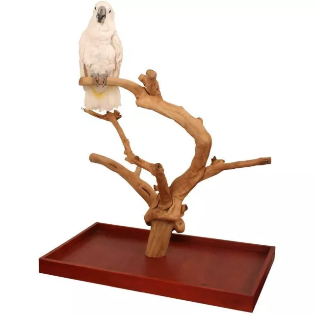 Java Tabletop Tree Large Natural Hardwood Parrot African Grey Cockatoo BirdStand