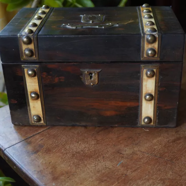 Antique Coromandal Veneered Brass Bound Tea Caddy with Satinwood Interior 2