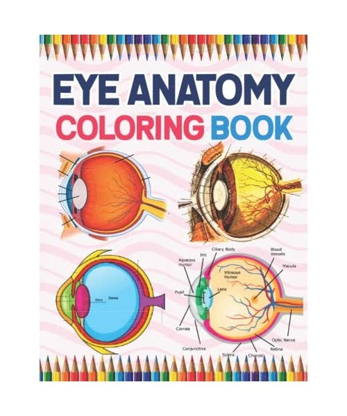 EYE ANATOMY COLORING Book: Human Eye Anatomy Student's Self-test ...