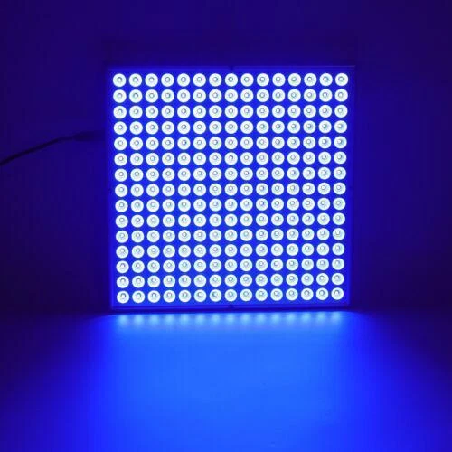 Lámpara de terapia azul completo 460nm lámpara bronceadora de piel 15W Reino Unido 100-240V