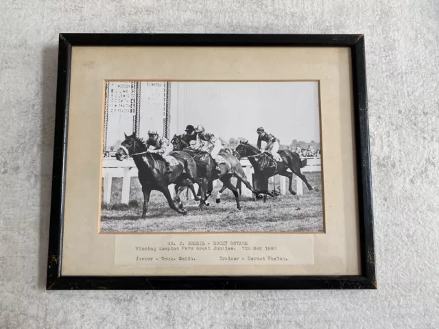 Framed Horse racing Photo Kempton Park 1960 Rocky Royale VGC Ready To Hang