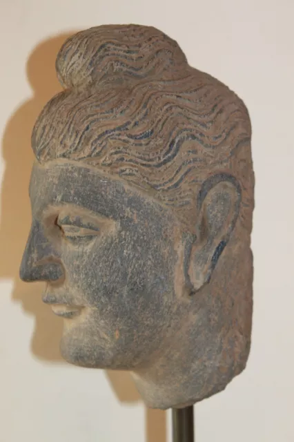 Ancient Indo Greek Buddhist  Buddha  Head 200/400 Ad 2