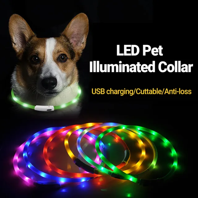 LED Glowing Dog Collar Night Safety Adjustable Flashing Rechargeable Pet Collar