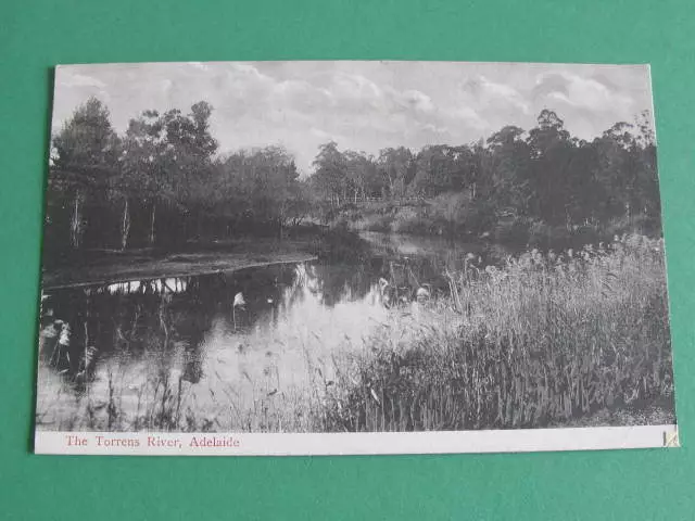 The Torrens River South Australia Postcard