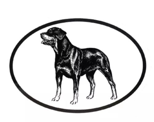 Rottweiler Decal - Dog Breed Oval Vinyl Black & White Window Sticker