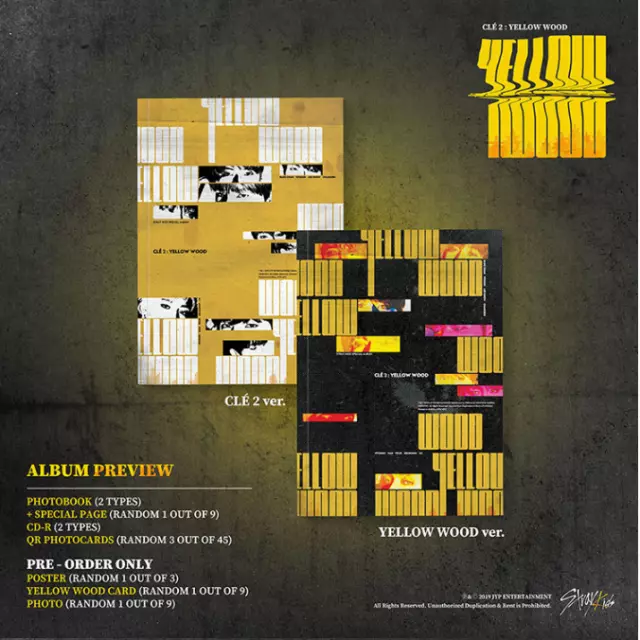 K-POP STRAY KIDS MINI ALBUM "Cle2 : Yellow Wood" [ 1 PHOTOBOOK + 1 CD ] Cle2 Ver