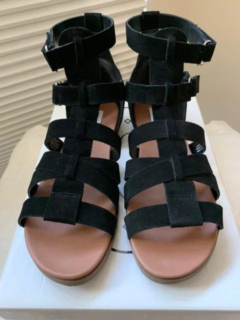 Steve Madden Black Suede Gladiator Sandals ~ Size 7 M ~ Beautiful!! Original Box