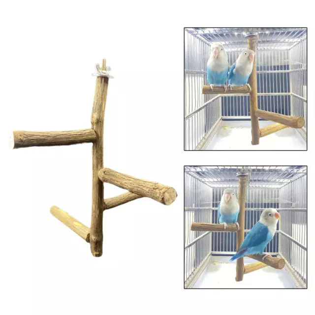 Haustier-Papageien-Vogel-Sitzstangen, Holzpfahl-Klauen-Schleifen, Ast-Rack,