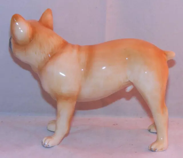 John Beswick Pampered Pooch Dog Figure French Bulldog Fawn JBPP1 3