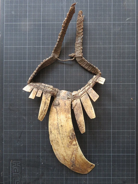 Bailer-Shell Halskette, Headhunter/Krieger der Asmat/Dani, Papua-Neuguinea, no 2