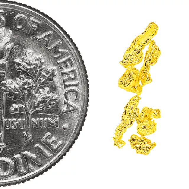 0.2170 Gram Alaska Natural Gold Nuggets - (#77209) - 6pcs Alaskan Gold Nuggets