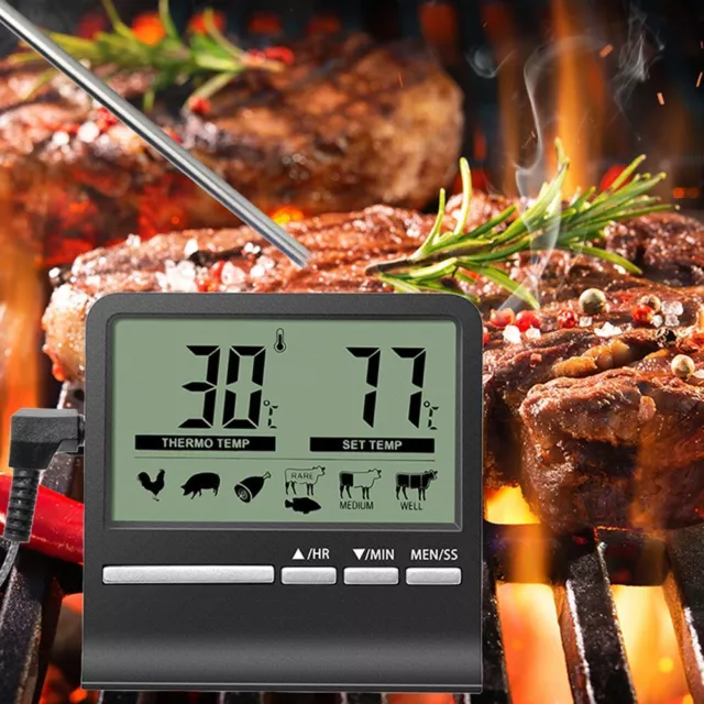 della cucina Termometro per alimenti Termometro da forno Sonda misuratore