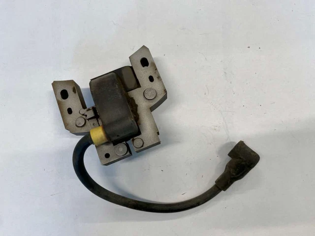 BOBINA MOTORE INDUSTRIALE Briggs & Stratton AGRICOLO RASAERBA MOTOCOLTIVATORE EC