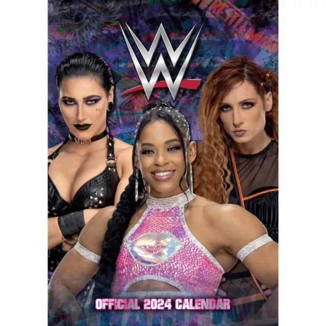 2024 CALENDAR, A3 Full Year Wall Planner Calendar Home Office Work, WWE
