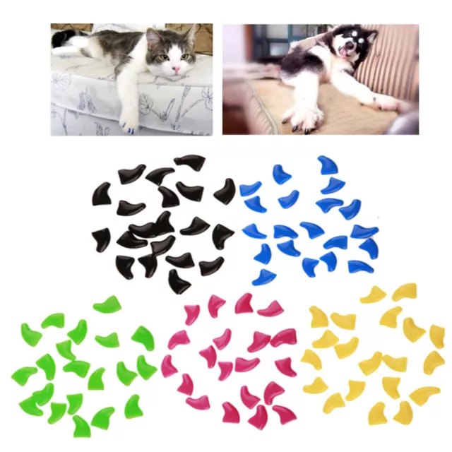 100 piezas tapas de uñas para animales pequeños gatitos gato garras mascotas