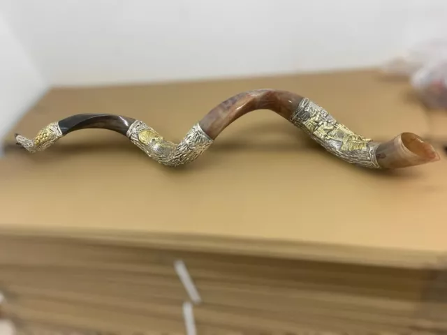 Unique Shofar 59" Sterling Silver Plated Polished Yemenite Kudu Horn Jerusalem