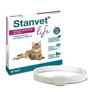 Collar Stanvet Life Gato