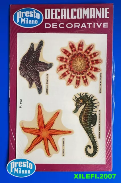 conchiglie stelle marine ippocampo decalcomanie decorative anni 70 presto mi 3