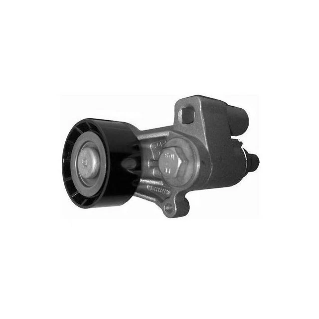 Galet Tendeur - Peugeot 206 306 406 605 806 Boxer Partner Citroen xsara xantia Z