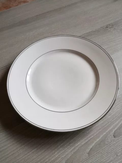 Assiette Porcelaine Limoges