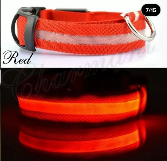 Nylon LED Pet Dog Collar Night Safety Flashing Glow In The Dark Dog Leash