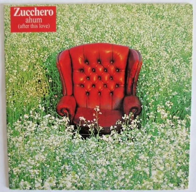 Zucchero Sugar Fornaciari - Cd Single Promo France "Ahum (After This Love)"