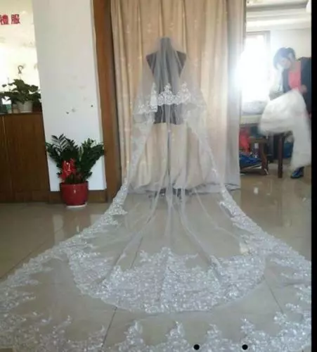 Wedding Bridal Veil With Comb Cathedral Length Appliques Lace Bridal 2 Tiers