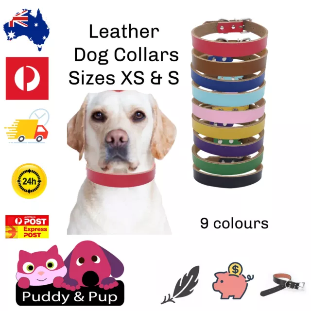 Dog Collar Leather Puppy Neck Strap Adjustable  pink blue red purple black green
