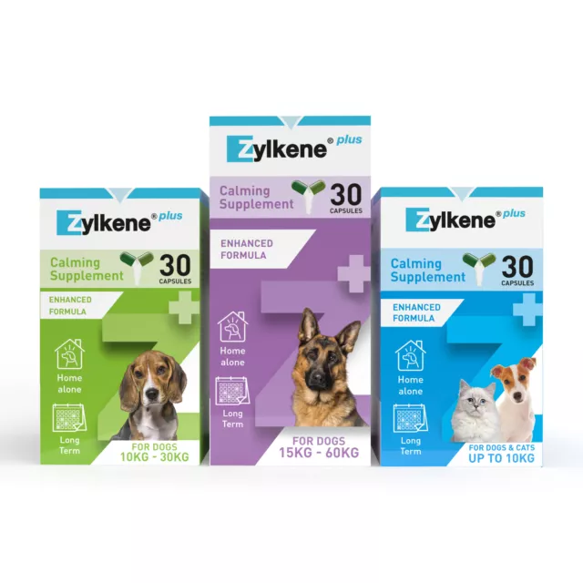 Zylkene Plus Calming Supplement For Cats and Dogs Anxiety Stress Relief Capsules